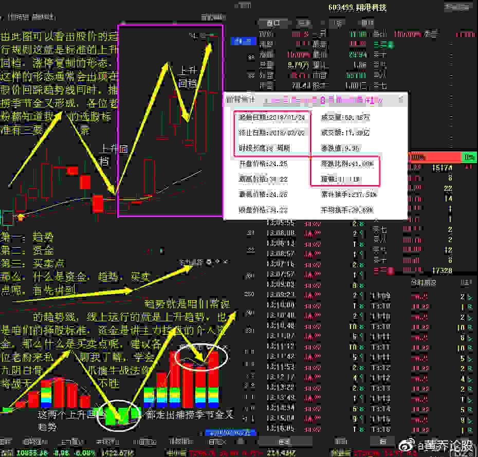 精准预测，龙头凤尾的智慧与策略，精准预测，龙头凤尾的智慧与策略