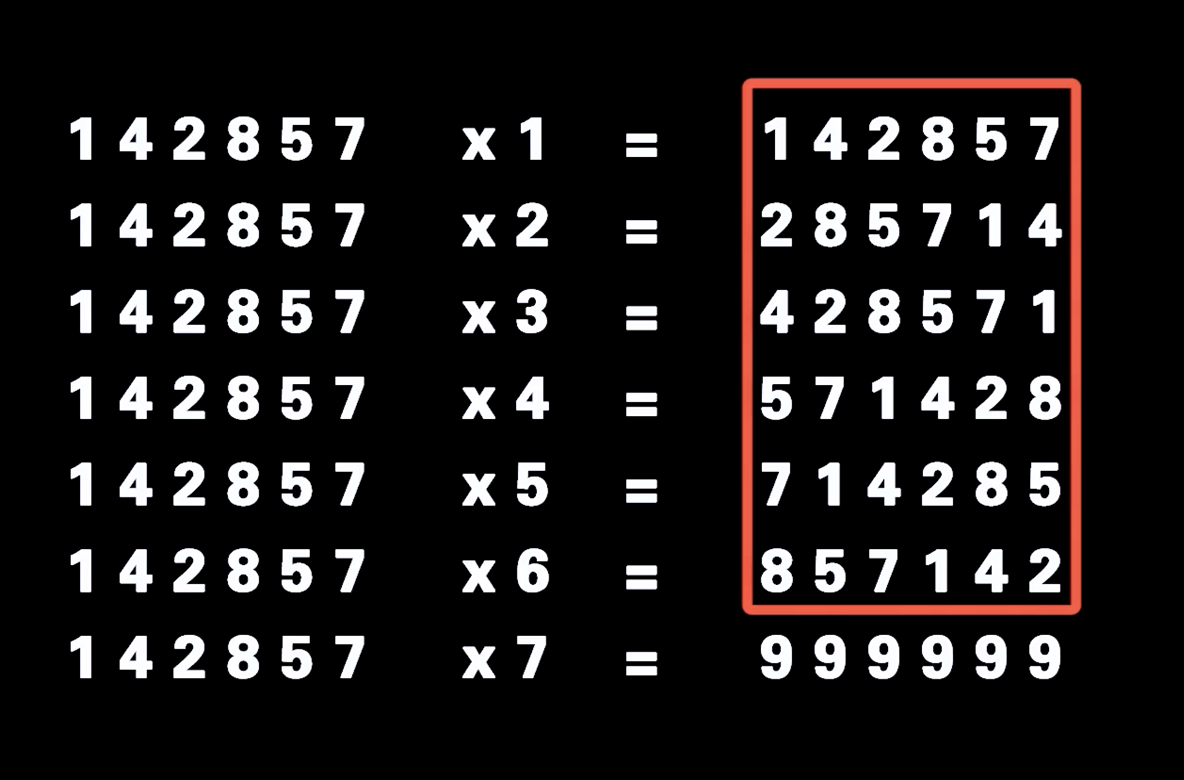 胆码，解锁数字世界奥秘的钥匙，胆码，解锁数字世界奥秘的钥匙