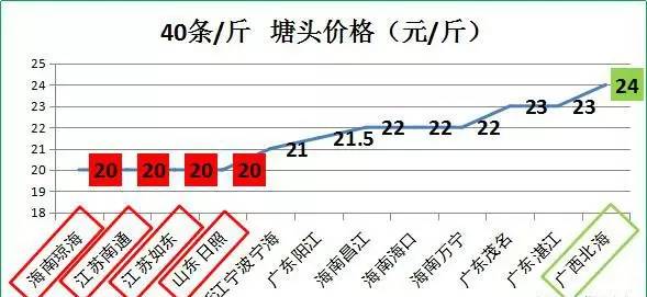 江苏体彩七位数，解码开奖走势图与连线的奥秘，解码江苏体彩七位数，开奖走势图与连线的奥秘