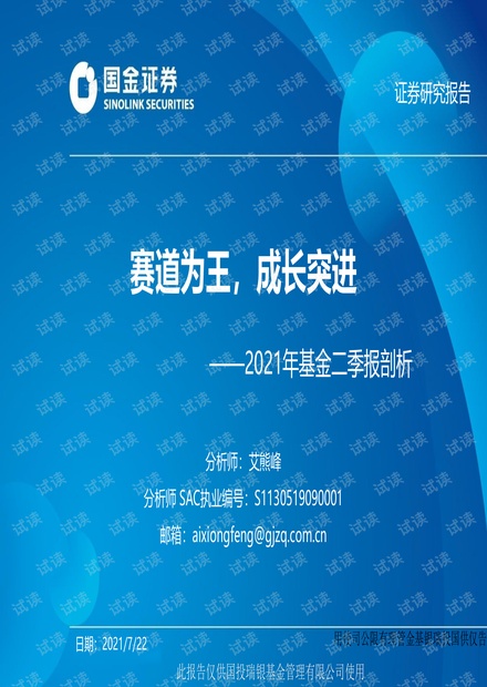 揭秘金胆王，一语定一注的背后逻辑与实战策略，金胆王，一语定一注的背后逻辑与实战策略揭秘