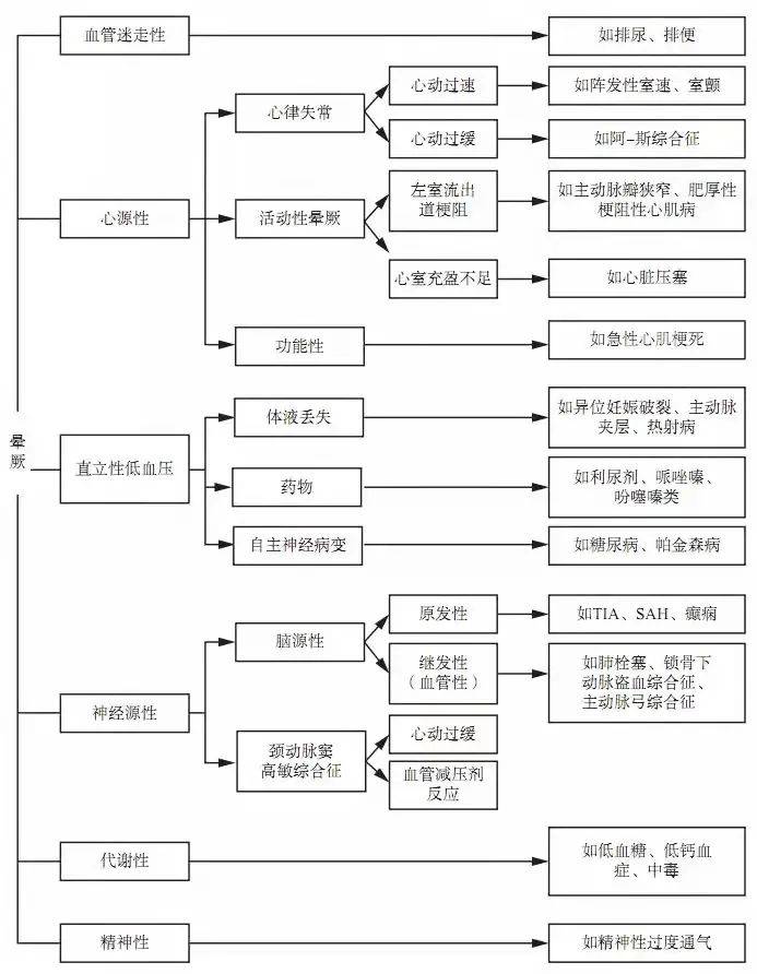 最新双色球开奖结果揭晓，幸运数字背后的奥秘与期待，双色球开奖揭秘，幸运数字背后的期待与奥秘