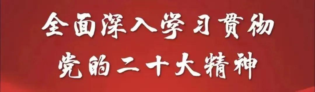 手机上买彩票2022，便捷、安全、高效的全新体验，2022年手机购彩，便捷、安全、高效的全新体验