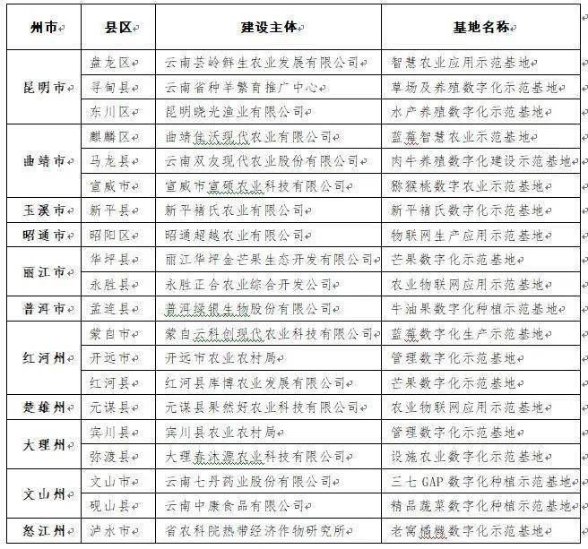 云南11选5，数字背后的幸运与期待，云南11选5，数字背后的幸运与期待