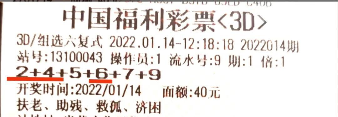 探索3D五码开奖结果的奥秘，从数字游戏到生活智慧的桥梁，从数字游戏到生活智慧，揭秘3D五码开奖结果的奥秘