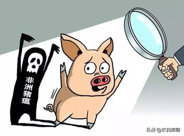 福彩22选五走势图在黑龙江的魅力与策略，黑龙江福彩22选五，走势图中的魅力与策略