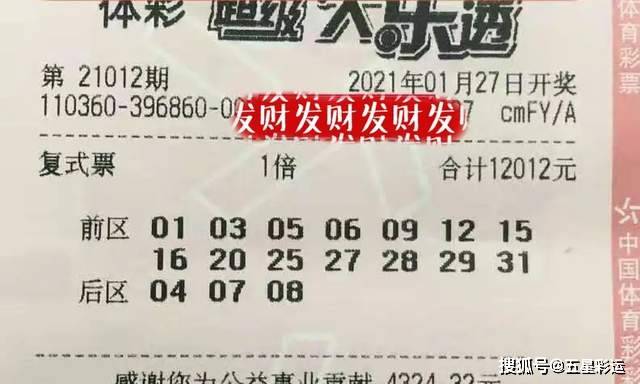 胆拖投注，胆不中，拖全中的智慧与策略，胆拖投注，智慧与策略的完美结合