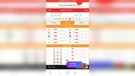 海口彩票网急速板，快速购彩新体验与理性投注的平衡之道，海口彩票网急速板，探索快速购彩新体验与理性投注的平衡之道