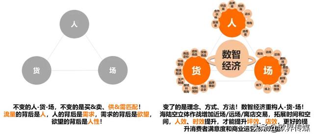 2021年49tkcom澳彩资料，揭秘数字背后的精彩与挑战，2021年49tkcom澳彩资料，数字背后的精彩与挑战揭秘