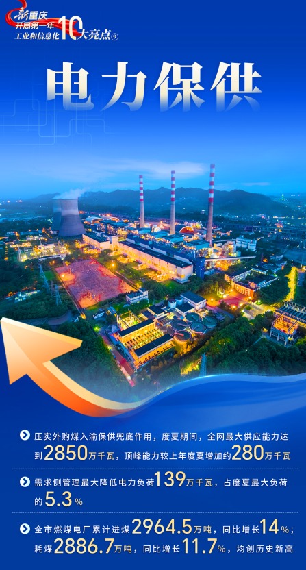 2023澳门资料大全免费，探索澳门新风貌的全面指南，2023澳门新风貌全面探索指南