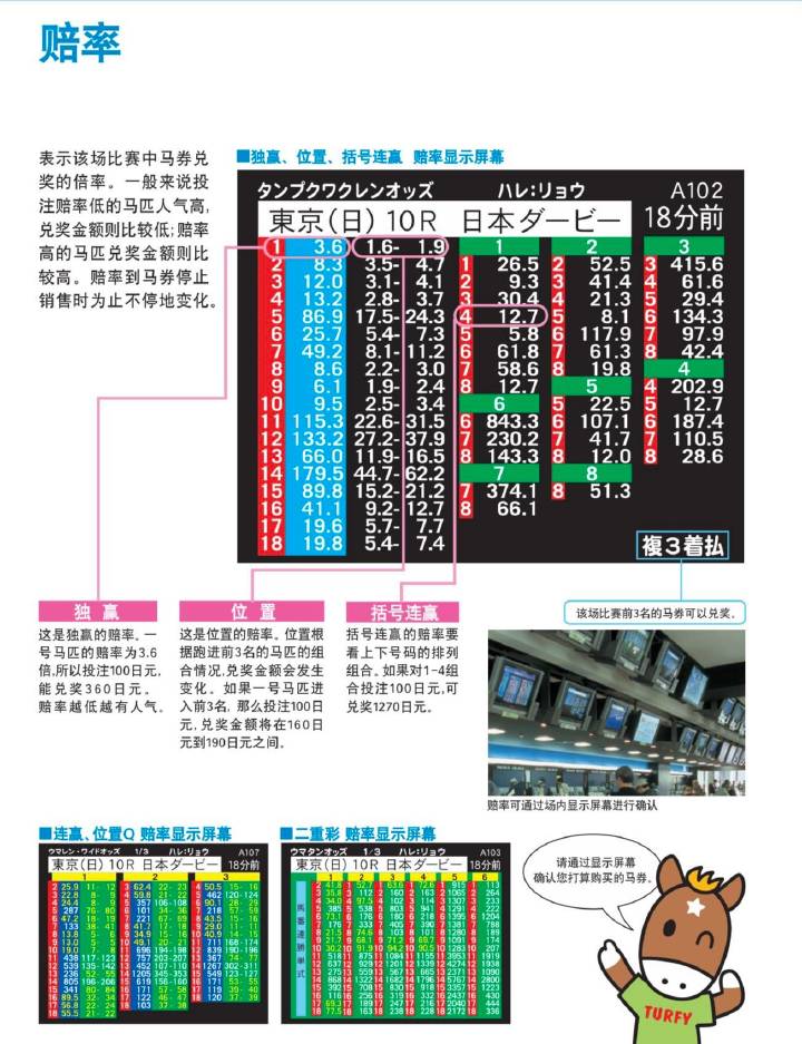 正版马会传真资料，保障权益，共享精彩赛马世界，共享精彩赛马世界，正版马会传真资料保障您的权益