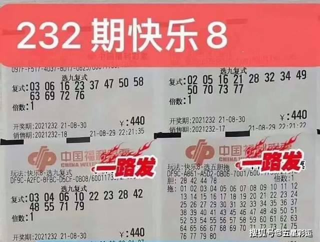 新奥门开奖结果2024，理性看待彩票，享受生活乐趣，理性看待彩票，新奥门开奖结果2024的乐趣与启示