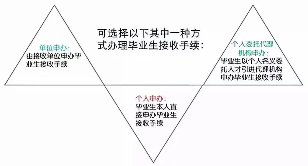 理性选择，三肖选一，智慧之举，智慧之选，三肖之中理性抉择