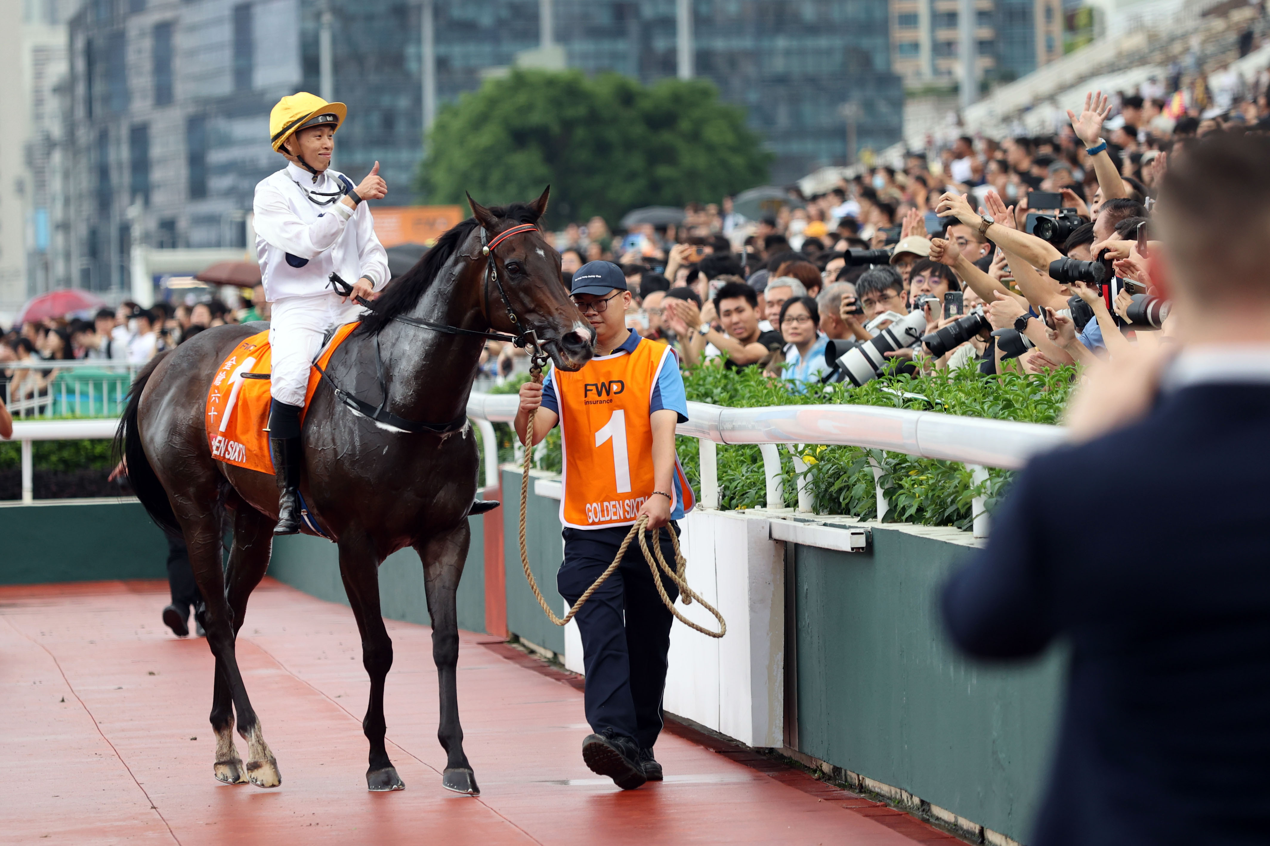 探索香港全年资料马会大全，一册在手，尽享赛马盛宴，香港全年赛马指南，马会大全在手，尽享赛马盛宴