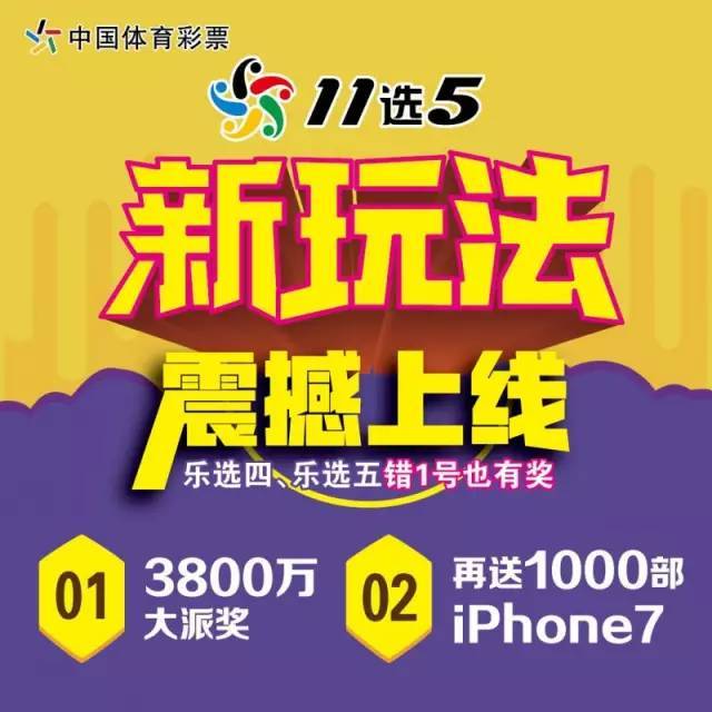 11选5的替代选择，探索多元化彩票与游戏新天地，探索多元化彩票与游戏新天地，11选5的替代选择