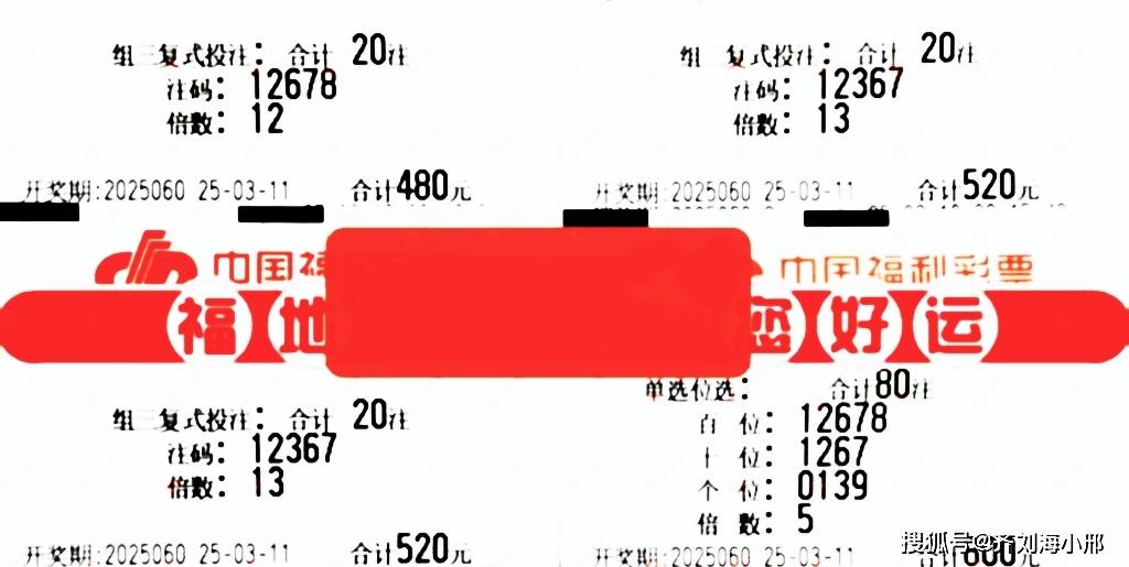 今日3D福彩图谜解析，揭秘幸运之门，揭秘今日3D福彩图谜，解锁幸运之门的秘密