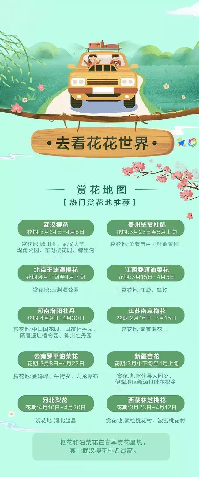 甘肃15选5，揭秘开奖结果号码的奥秘，甘肃15选5，揭秘开奖结果背后的数字奥秘