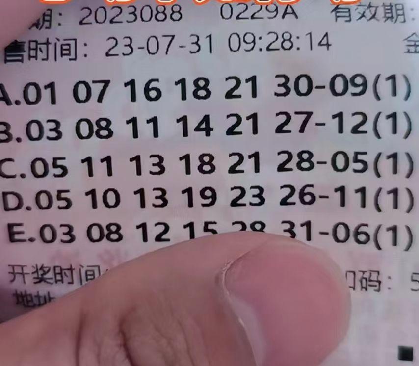 2025年5月3日 第6页