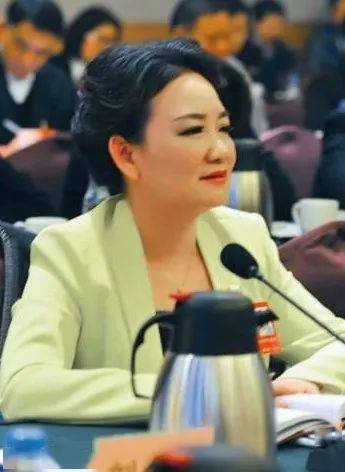 世界杯冠军最多的国家排名，荣耀与传奇的较量，世界杯冠军之巅，国家荣耀与传奇的较量排名