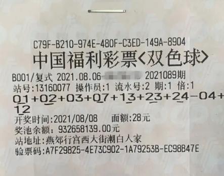 机选双球号码，现代彩票购彩的新风尚，机选双球，现代彩票购彩的新潮流