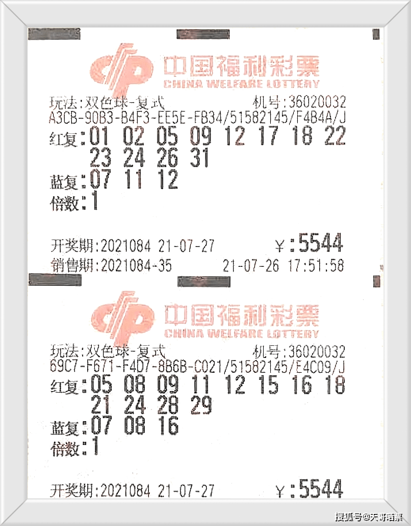 84期双色球开奖号码，揭秘幸运的数字密码，揭秘84期双色球开奖号码，探寻幸运的数字密码