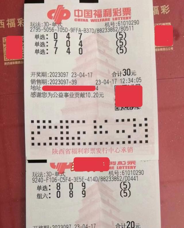 福利彩票2024031期中奖号码揭晓，梦想与幸运的交汇，2024031期福利彩票中奖号码揭晓，梦想与幸运的交汇