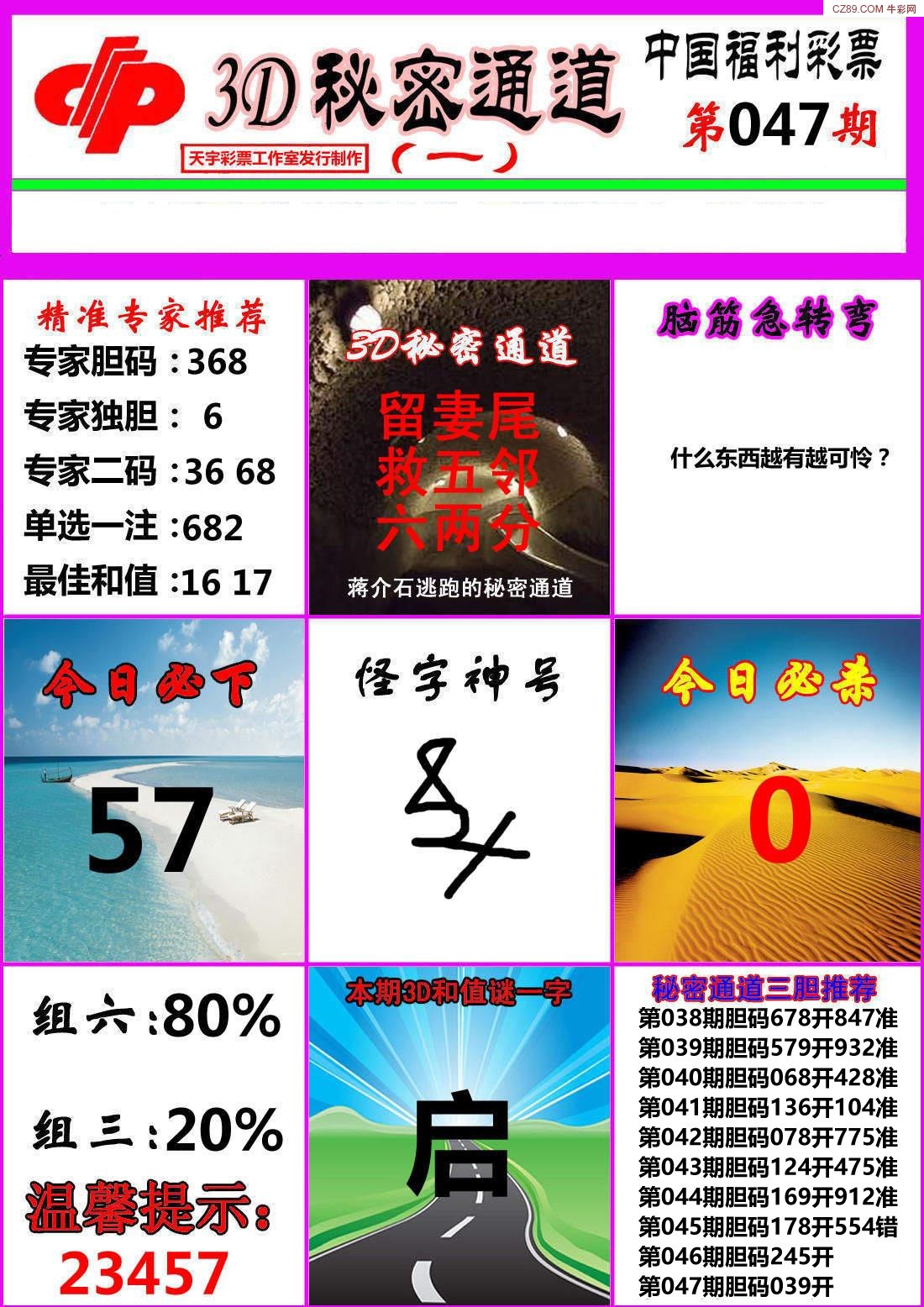 福彩3D，鼠老大与天中图库的奇妙世界，福彩3D，鼠老大与天中图库的奇幻之旅