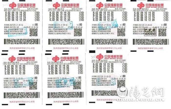 揭秘天齐网福彩字谜总汇，探寻数字背后的智慧与乐趣，揭秘天齐网福彩字谜总汇，数字背后的智慧与乐趣