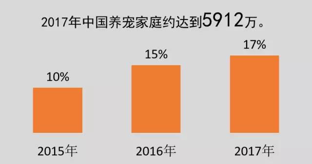 2021年58期澳门开奖，揭秘背后的故事与影响，揭秘2021年58期澳门开奖，背后的故事与对社会的深远影响