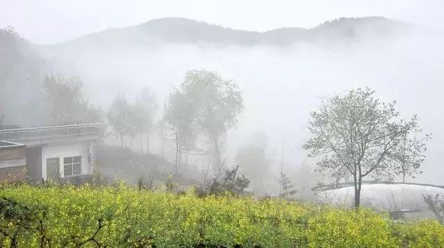探索香港6合开彩开奖的神秘面纱，今天开奖直播视频最新版揭秘，揭秘香港6合开彩开奖直播，最新版开奖视频的神秘面纱