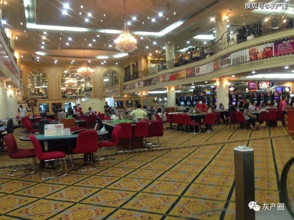 香港六合彩今日开奖直播，最新消息汇总与深度解析，香港六合彩今日开奖直播，最新消息汇总与深度解析