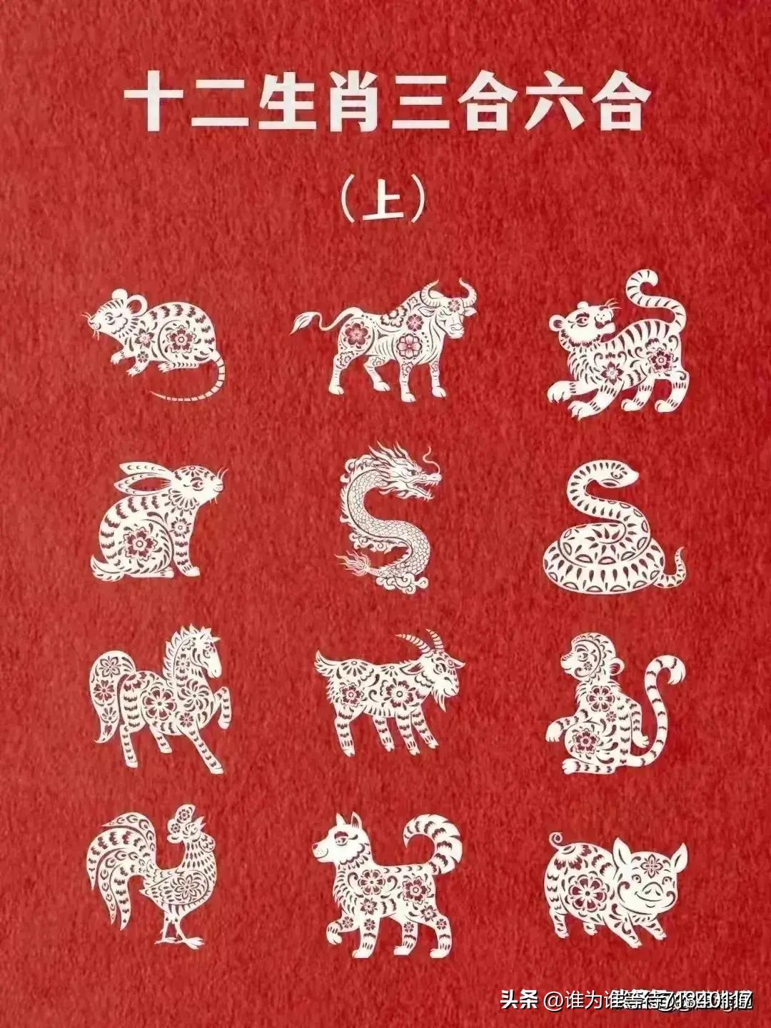 探秘香港6合开彩，今日生肖揭秘与图片分享，揭秘今日香港6合开彩生肖，精彩图片分享