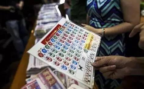 2023年11月香港6合开奖结果及开奖记录最新动态，2023年11月香港六合彩开奖结果及最新动态