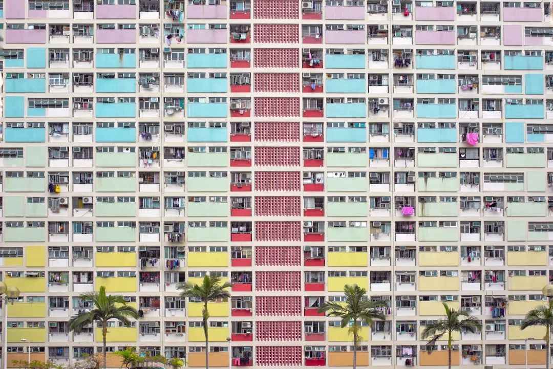 揭秘香港6合和彩官网12生肖图片，深度对比与分析，揭秘香港6合和彩官网12生肖图片，深度对比与分析
