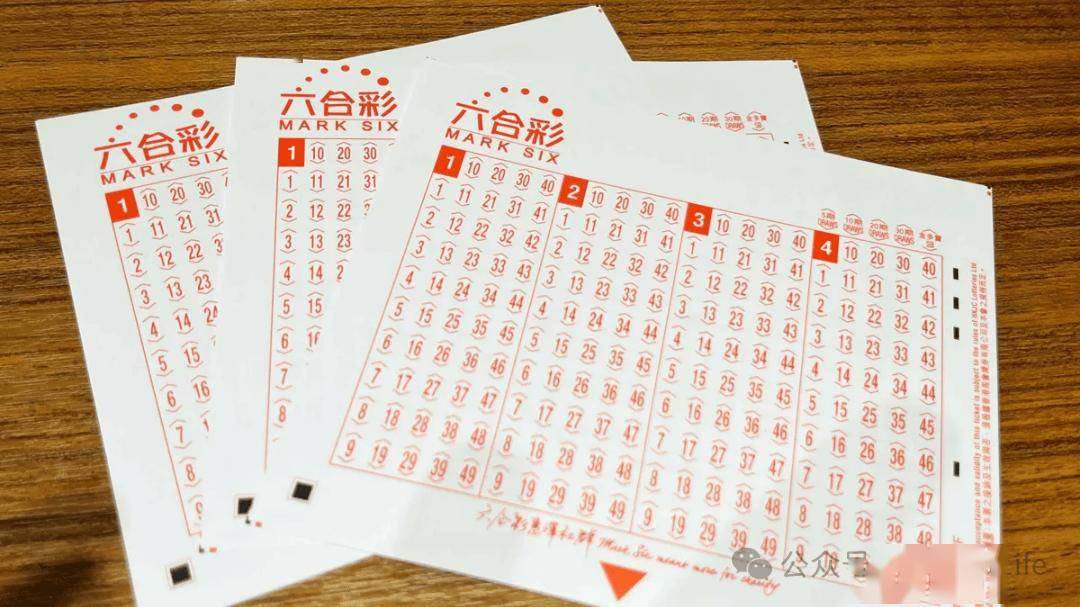 探索香港6合和彩与12生肖牌的独特魅力与区别，揭秘香港6合和彩与12生肖牌，独特魅力与差异解析