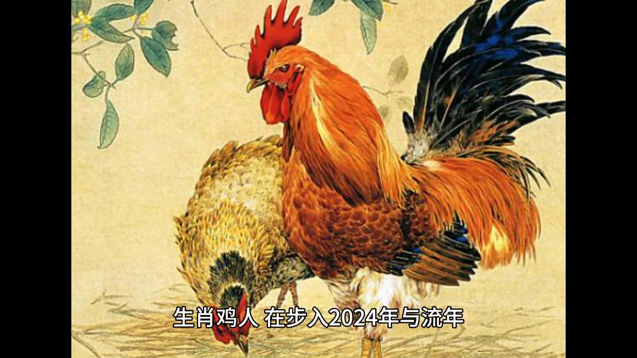 2024年香港六合开彩最新开奖号码一览表，揭秘幸运数字的奥秘，2024年香港六合彩最新开奖号码一览表，探寻幸运数字的奥秘